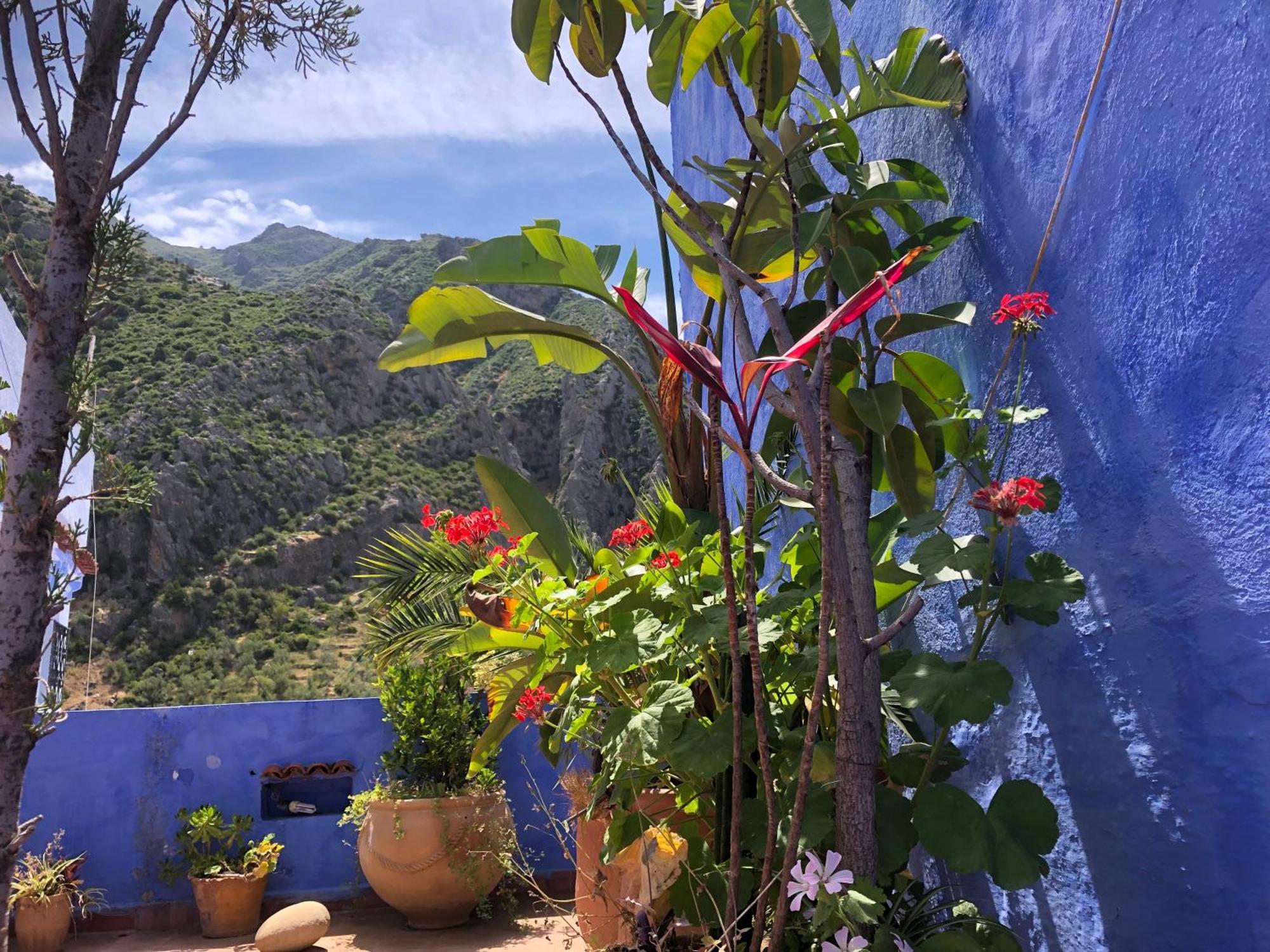 Dar Onsar Bed & Breakfast Chefchaouen Exterior photo